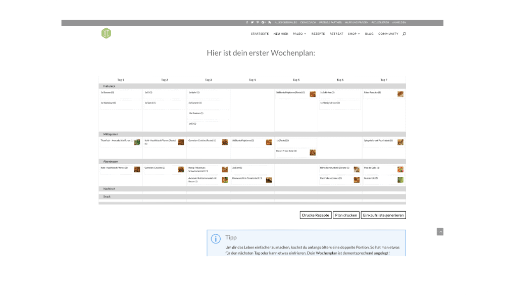 prinzip-paleo-webdesign-6